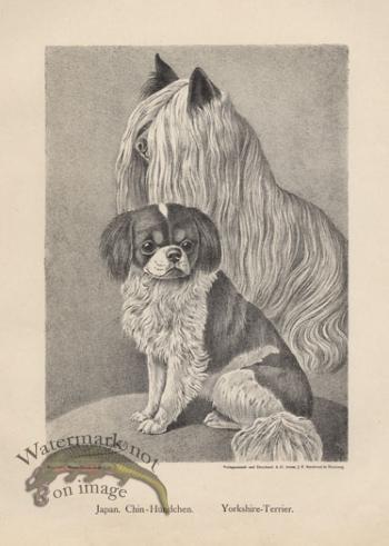 1890s Dogs 02